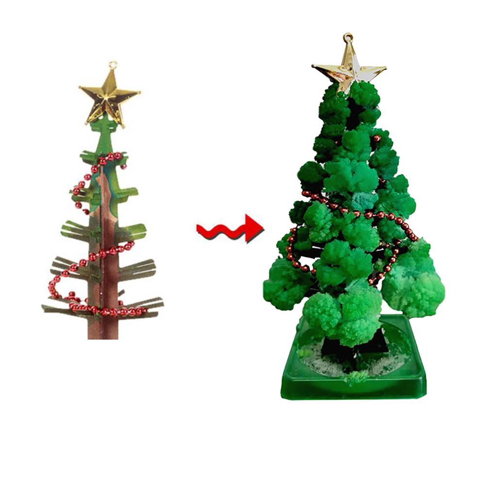 KweekBoom™ - Maak je Eigen Kerstboom! - Kerstboomset voor Kids - Mijn Pukkie