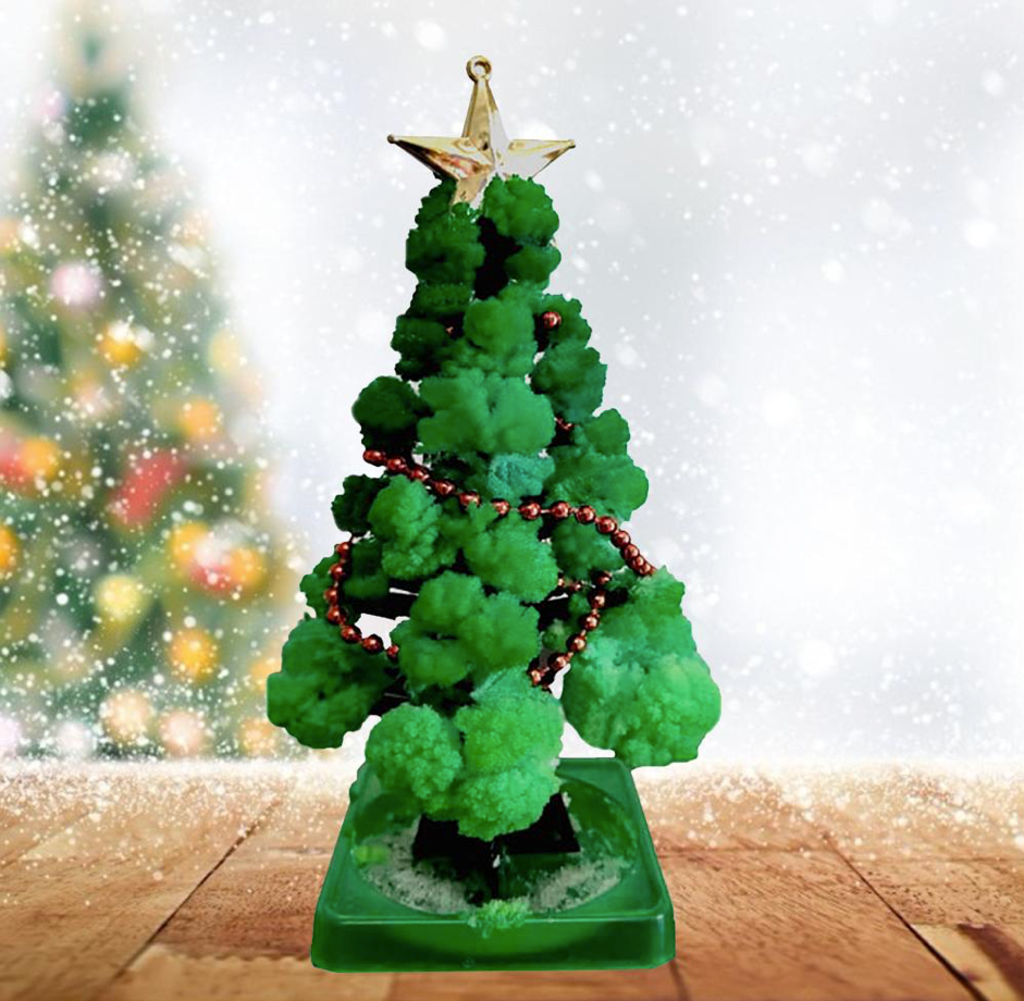KweekBoom™ - Maak je Eigen Kerstboom! - Kerstboomset voor Kids - Mijn Pukkie