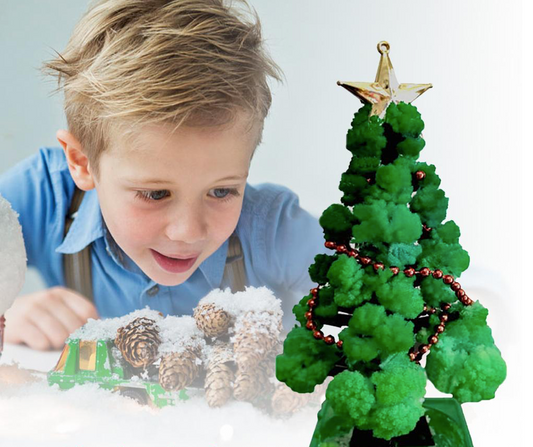 KweekBoom™ - Maak je Eigen Kerstboom! - Kerstboomset voor Kids - Mijn Pukkie